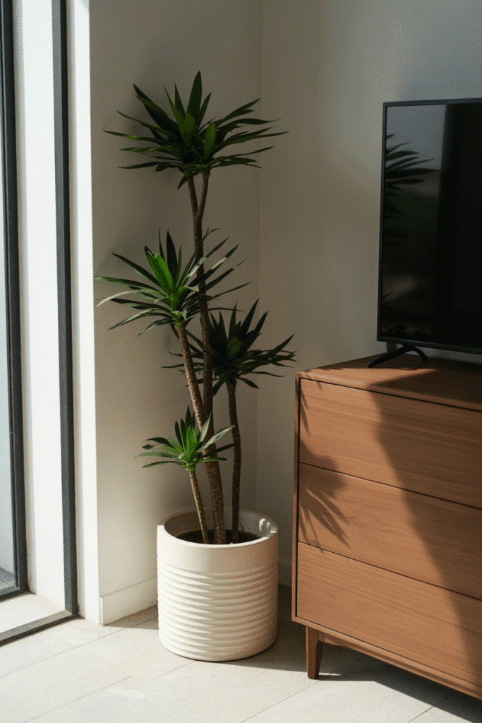 Mid-century modern bedroom corner with snake plant and wooden dresser.